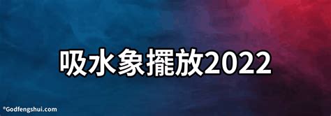 吸水象擺放2022